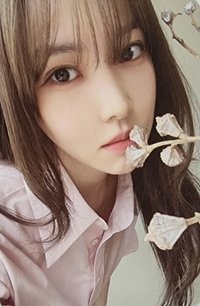 O 專輯卡 