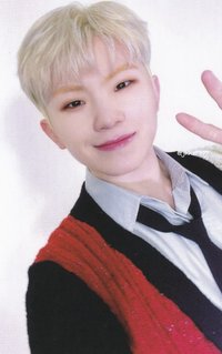 POL 演唱會 DVD / CD 卡 ｜DVD ver.