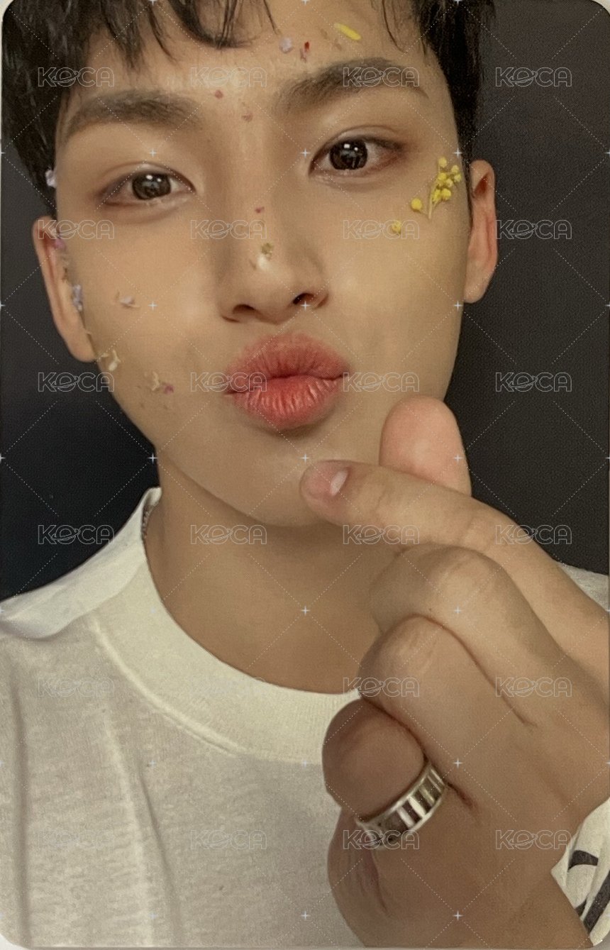 落花 日咖 初回限定A盤 專輯卡  正面