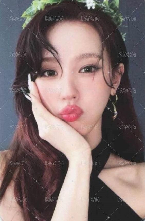 正規二 wm 預售 特典卡  正面