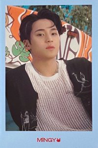 MINI11 周邊卡 午版拍立得卡