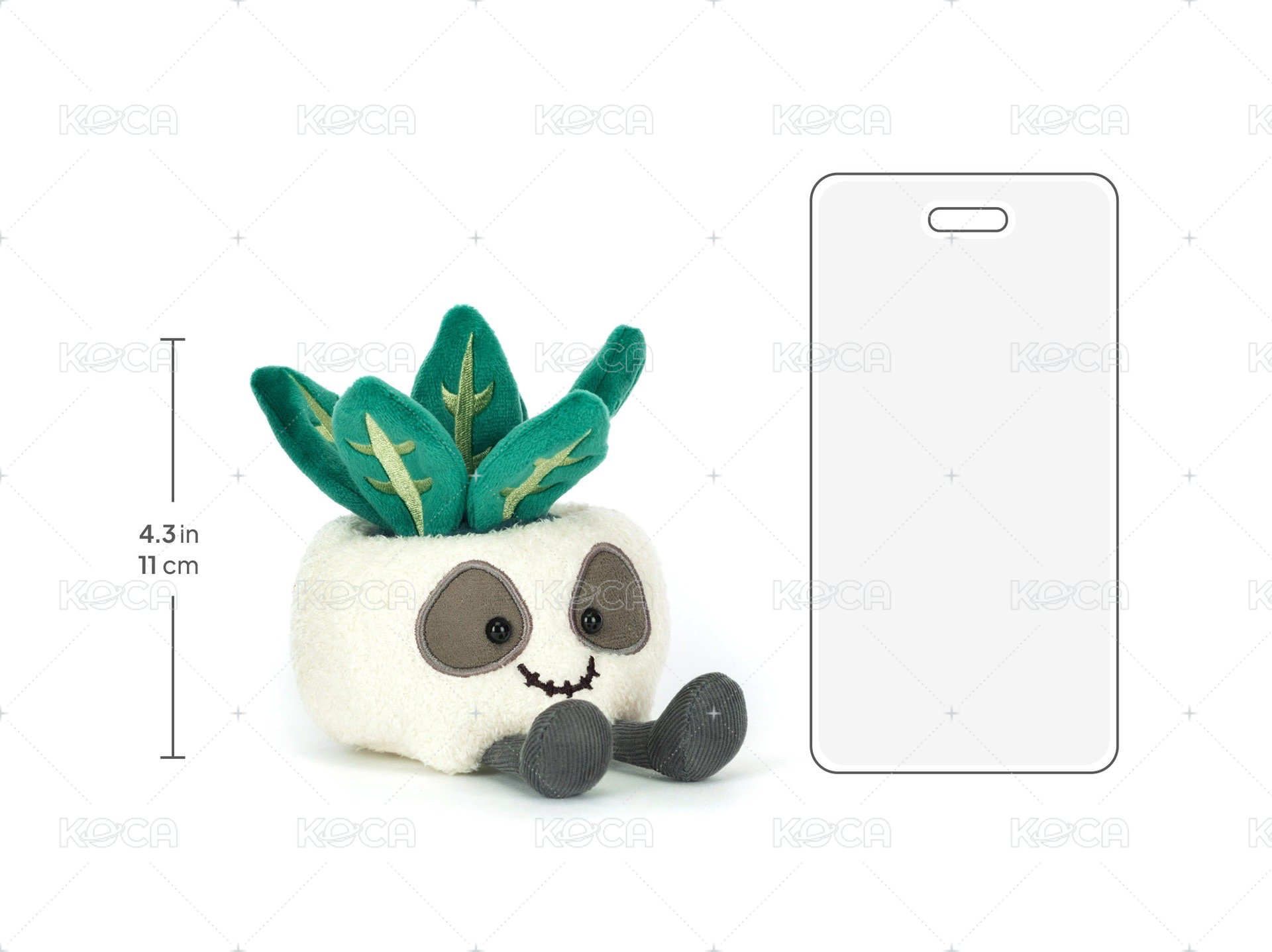 Skull Planter 骷髏盆栽