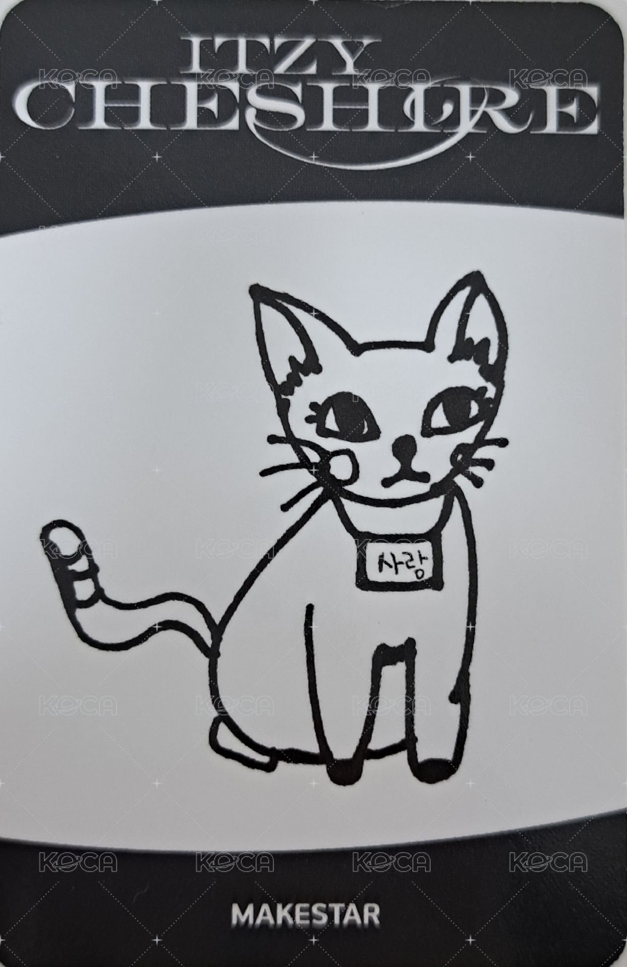 CHESHIRE ms 幸運卡 天使娜 背面