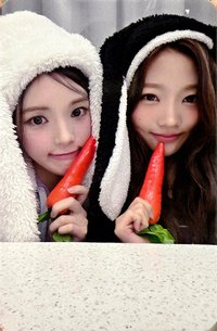 Style ju 3.0 幸運卡 