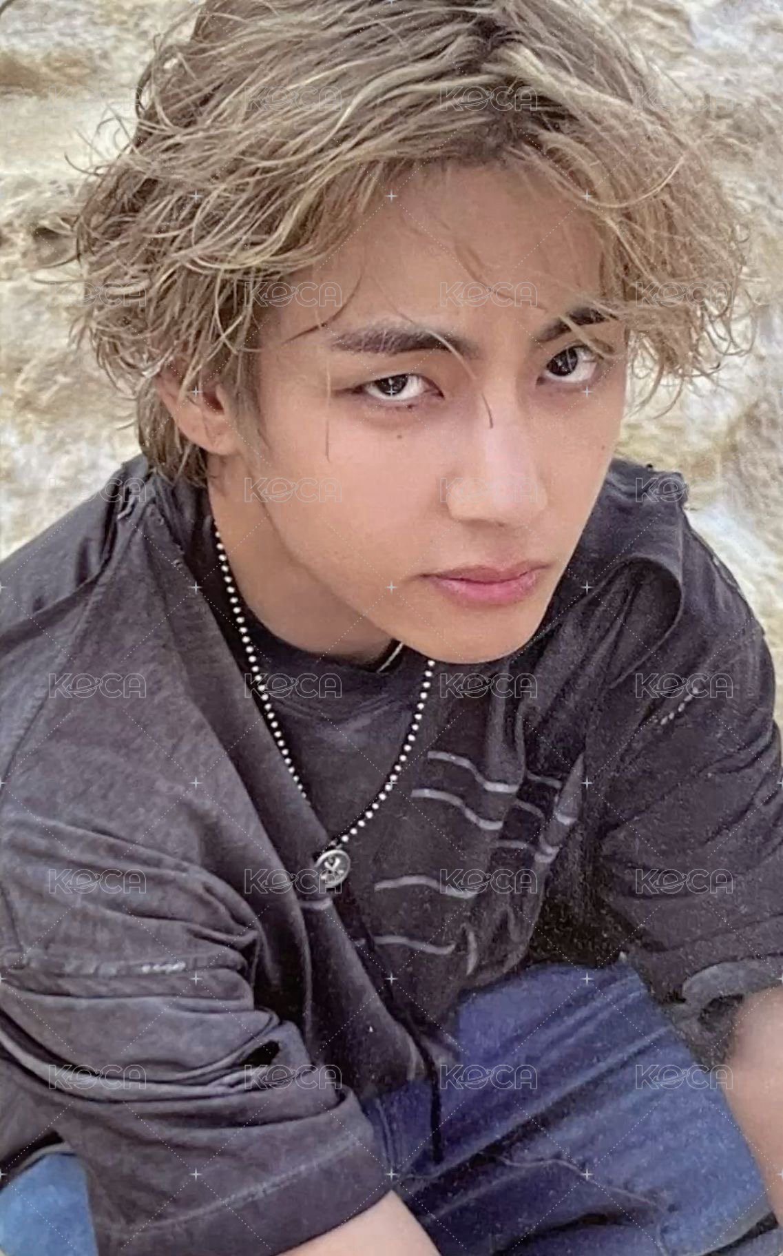 LAYOVER wvs 特典卡  正面