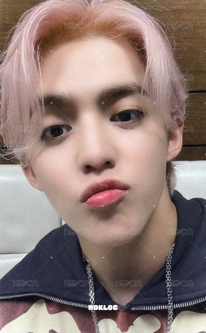 MINI11 入場卡 / 場限卡 ｜WVS福岡場限 正面