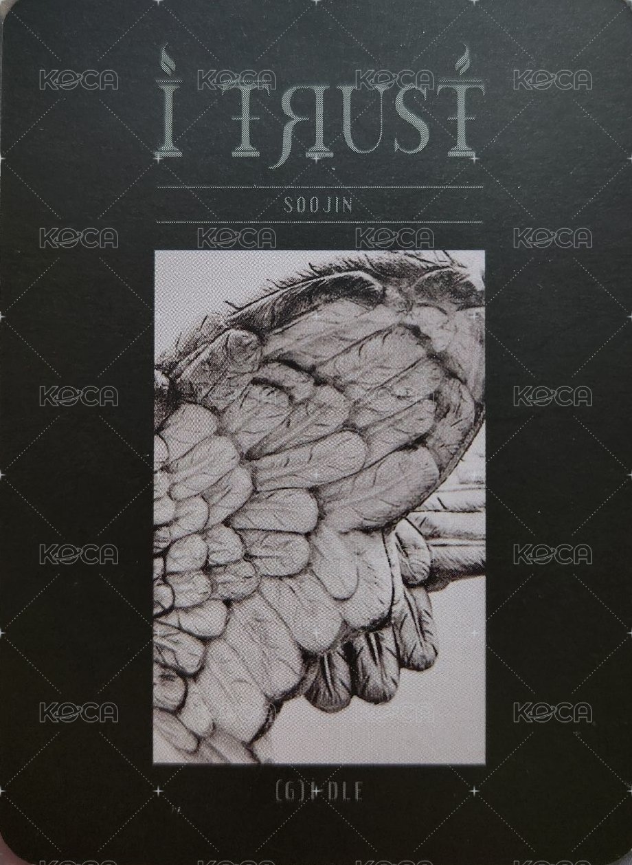 I TRUST 專輯卡 黑版 true ver. 背面