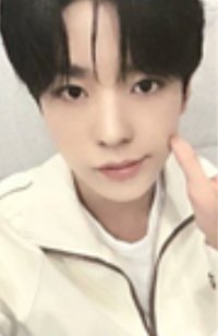 Steady fromm 簽售卡 