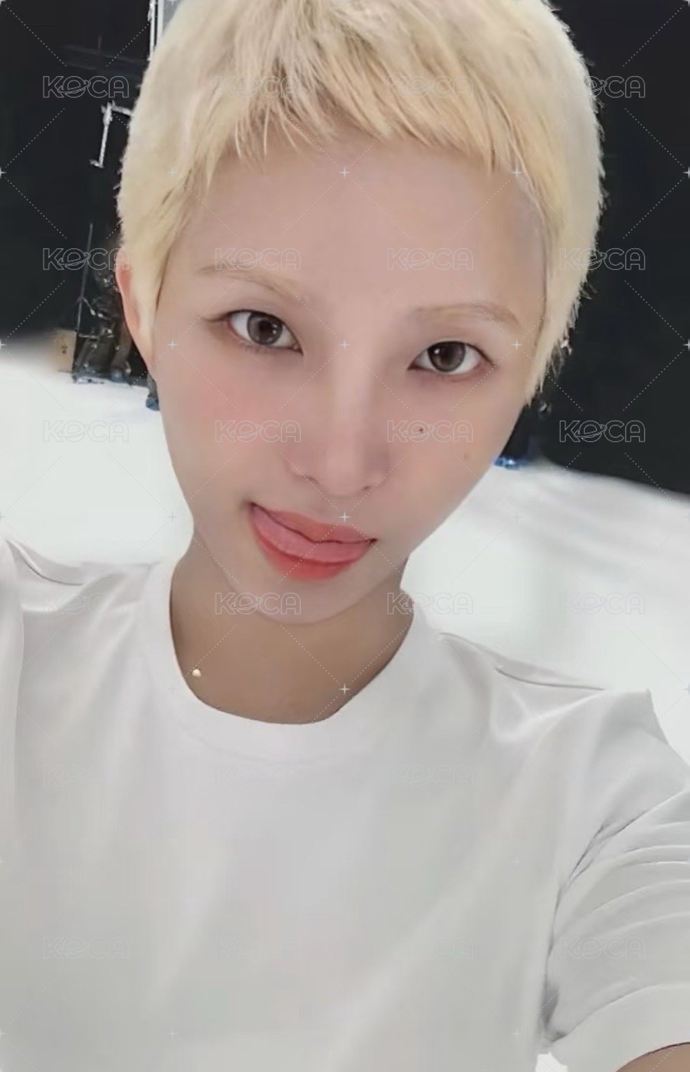 We are k4 特典卡 3.0預售 正面