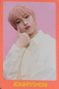 22年D社 雜誌卡 卡冊卡