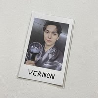 Vernon 