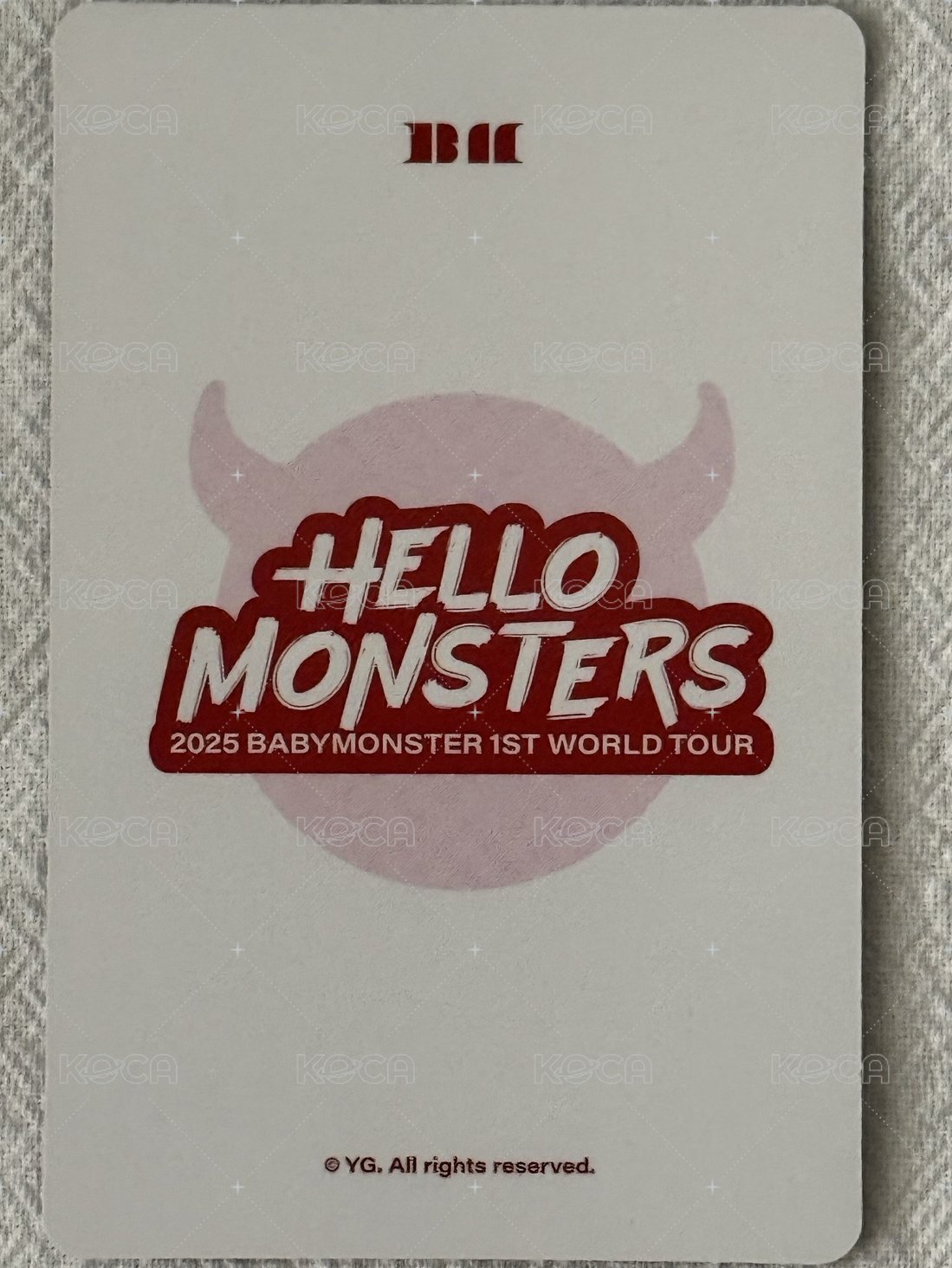 25世巡 毛絨卡套吊飾 周邊卡  背面