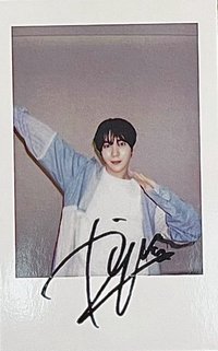 Songbird kms 4.0 v2 簽售卡 