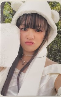 mini 13 專輯卡 