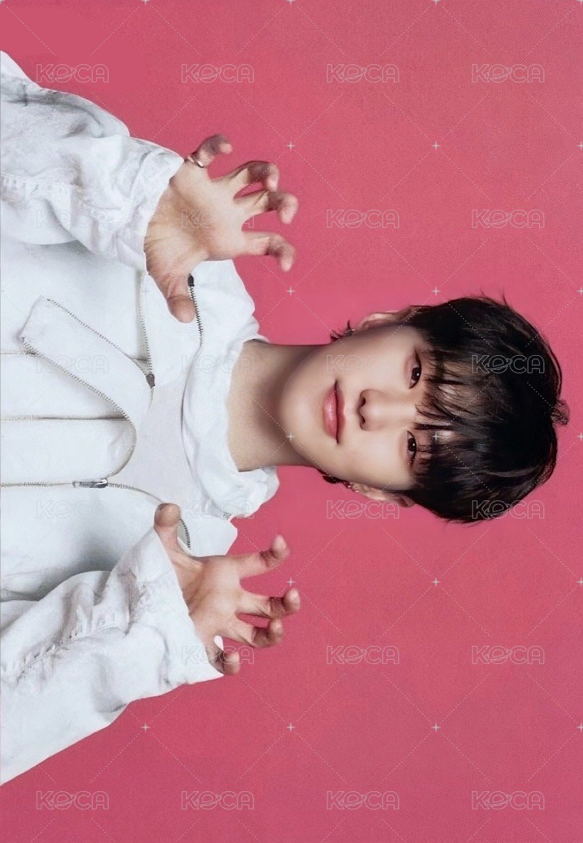 FOLLOW AGAIN 隨機卡  正面