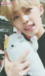 ‘SVT’ hmv 周邊卡 抱娃卡