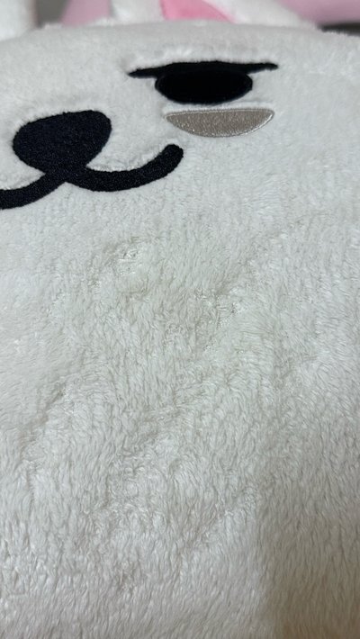 有損勇猛抱枕本體600(越南