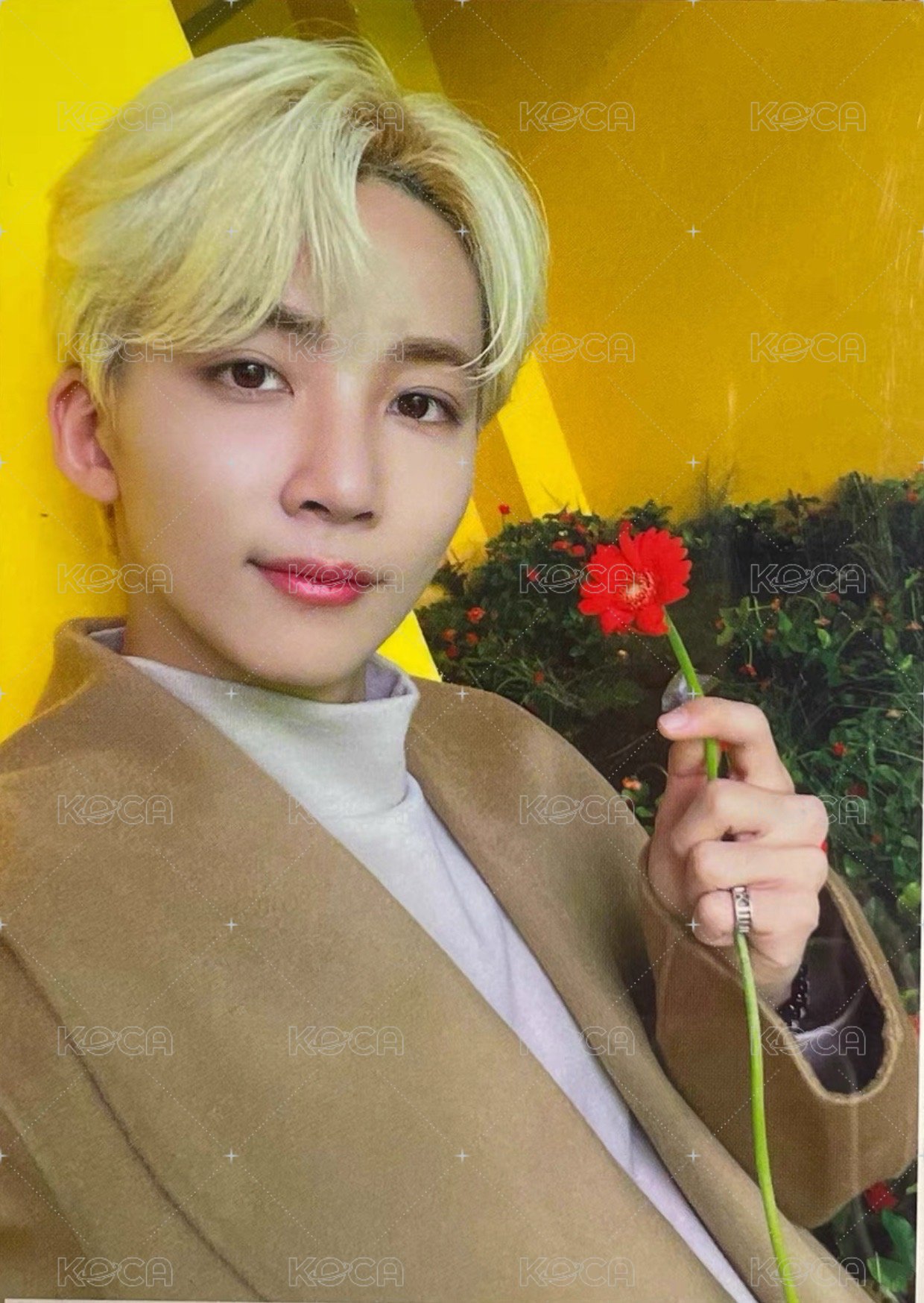 POL 專輯卡 聖誕卡 正面