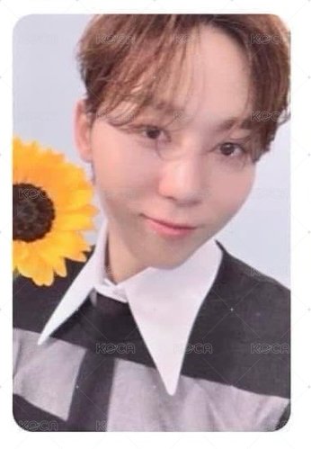 精選專 wvs  gv 特典卡  正面