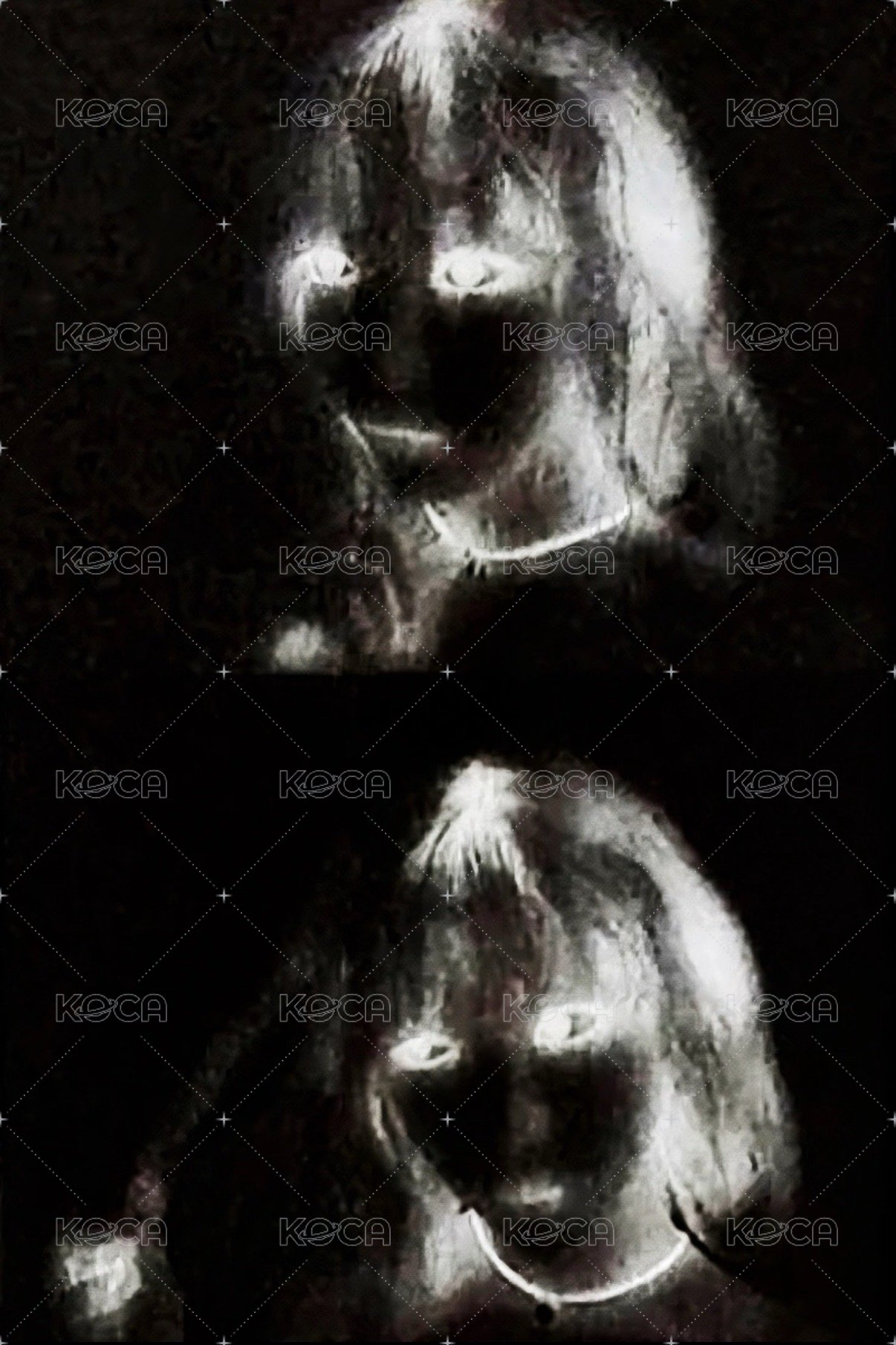 HOT 專輯卡 vol.1 專卡 背面