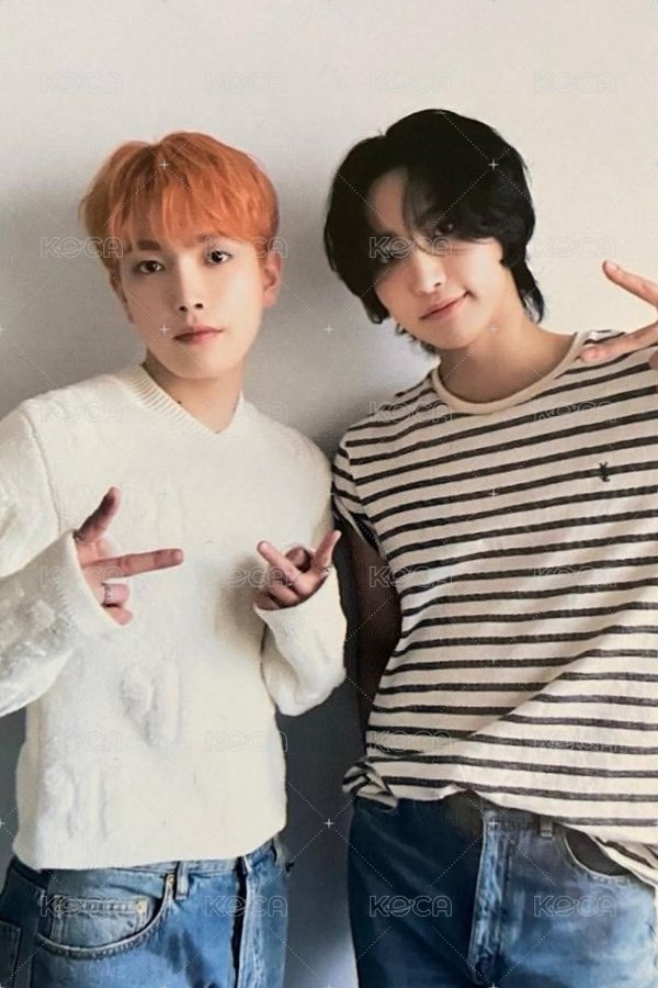 GH1 TOKTOQ 特典卡  背面