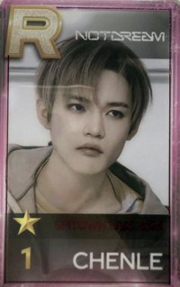 遊戲卡 smt 辰樂