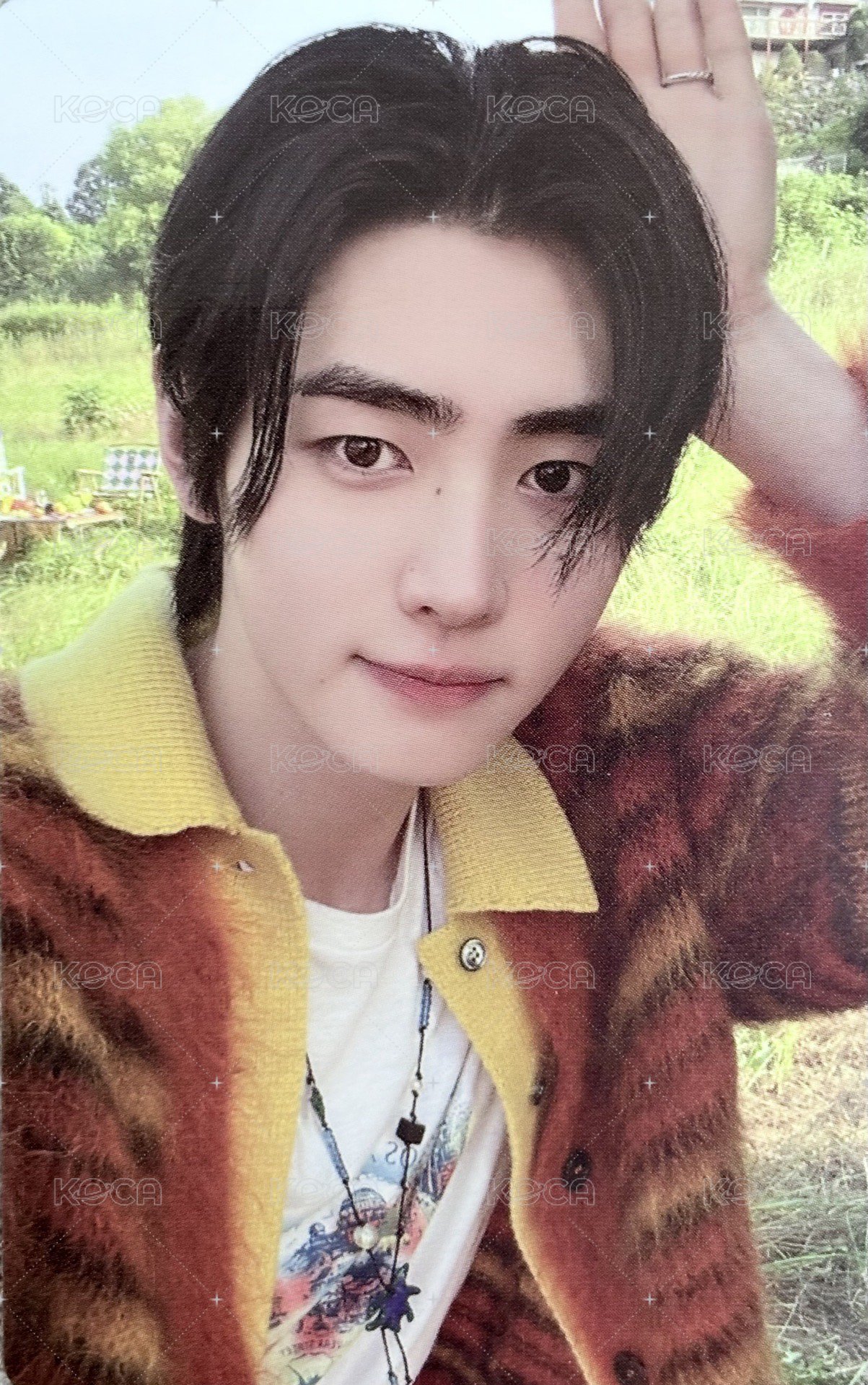 迷五 專輯卡 單封隨機卡 正面