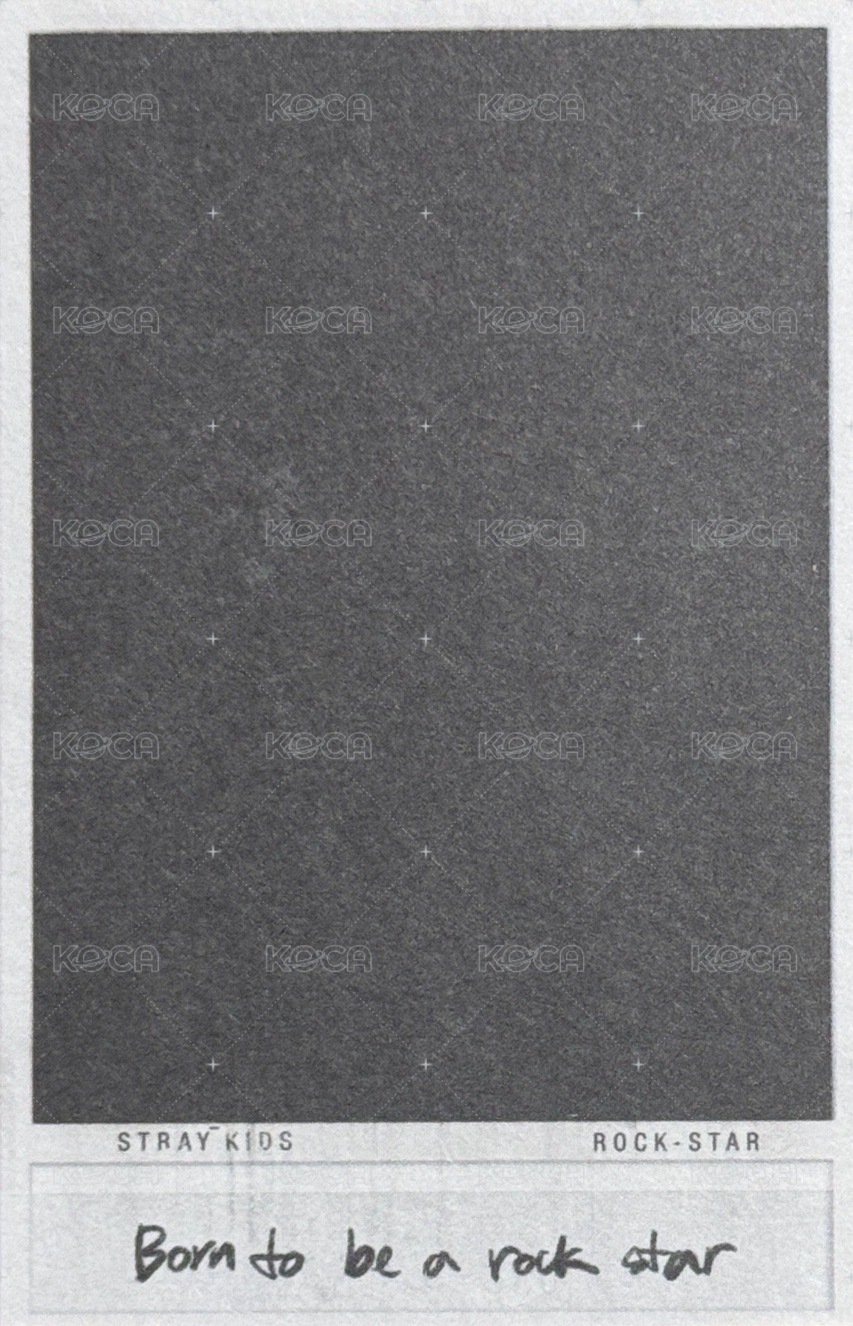 樂-STAR 專輯卡  背面