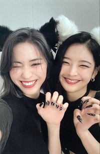 CHESHIRE 專輯卡 雙人卡