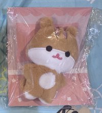 中豆眼（無卡）