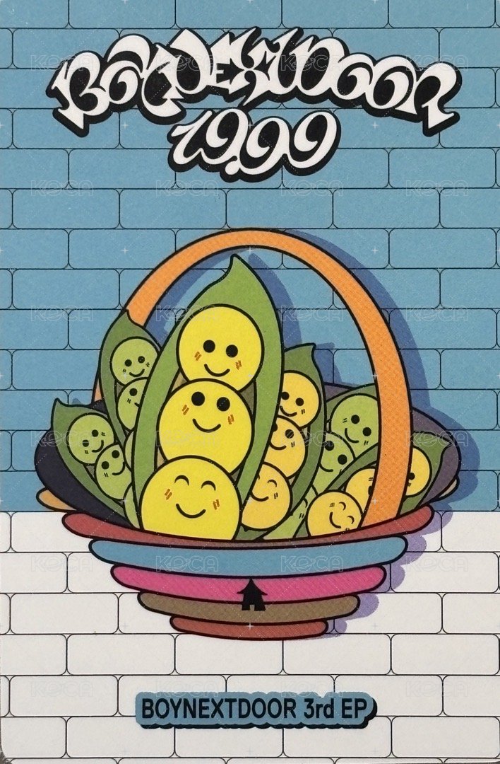 19.99 yzy 特典卡 豌豆 背面