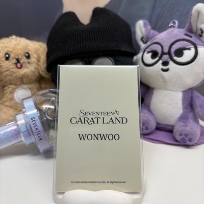 🐈‍⬛圓佑WONWOO｜24’克拉島｜周邊卡｜襯衫卡