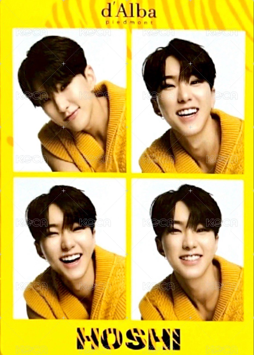 代言 代言卡 d’Alba 正面