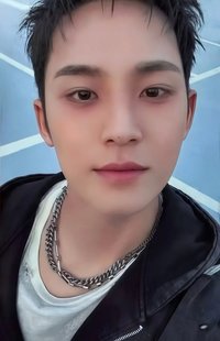 正五 oy 特典卡 正規五｜特典