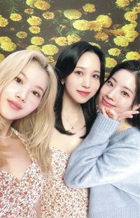 D’FESTA 迷你版 D社 周邊卡 三人卡