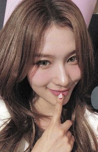 STRATEGY sr 預售中文卡背 特典卡 