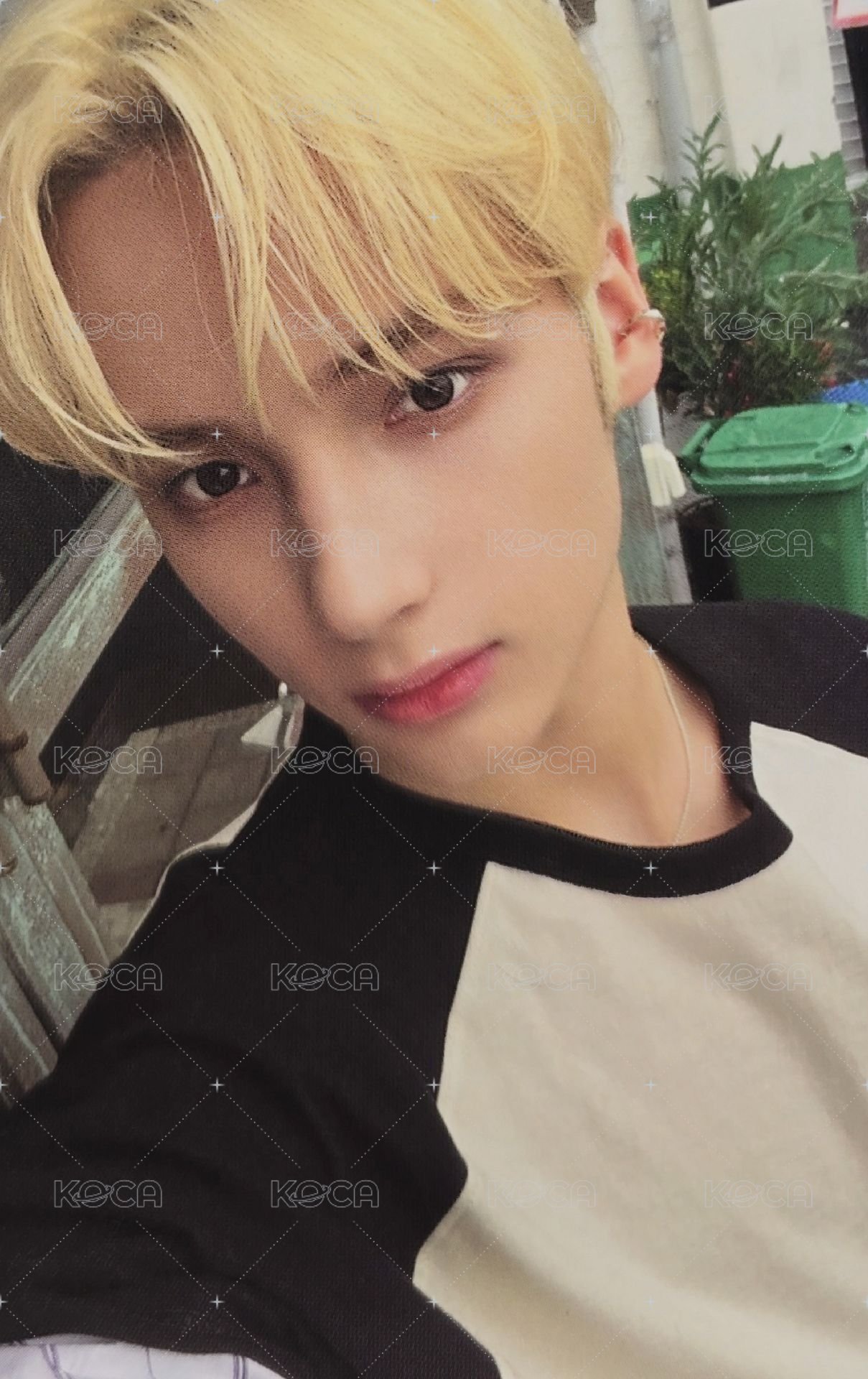 24年曆 年曆卡 卡 休寧凱 正面