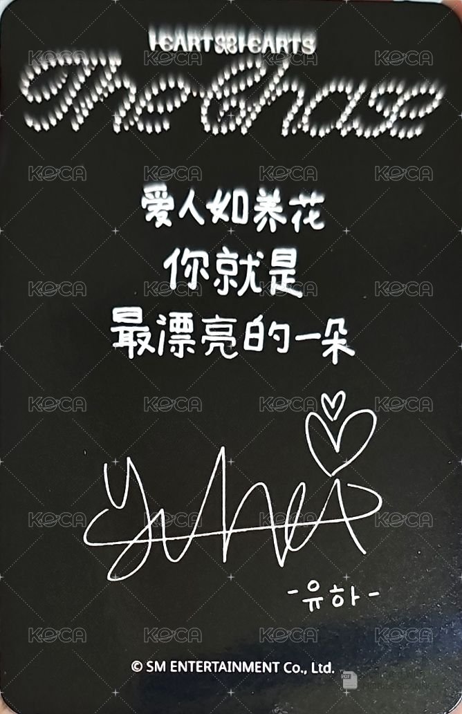 單一 sr 1.0 簽售卡  背面