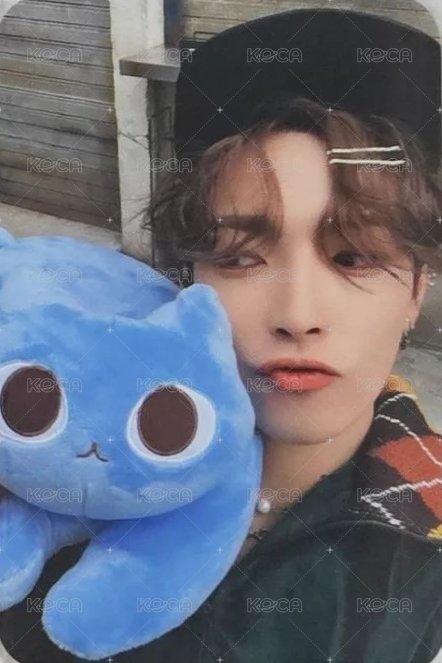 WILL TOKTOQ DIGIPAK 特典卡  正面