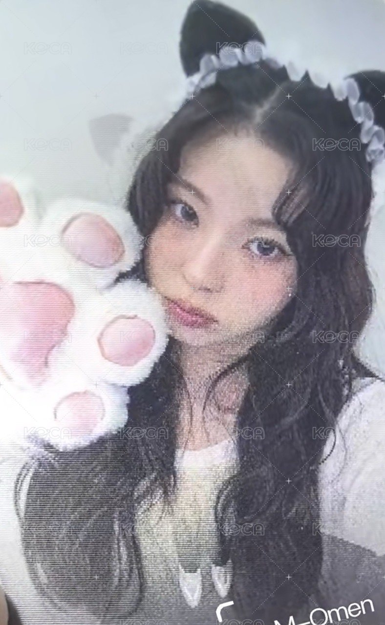 FORWARD 數星星 3.0 簽售卡 喵喵拳 變化卡 正面