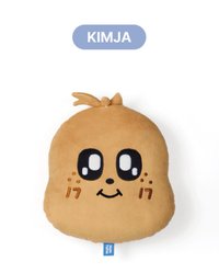 MINITEEN 抱枕 ｜KIMJA