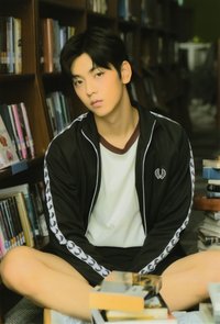 正一 wvs 周邊卡 