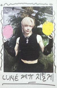 BTL 專輯卡 WVS Albums ver.拍立得