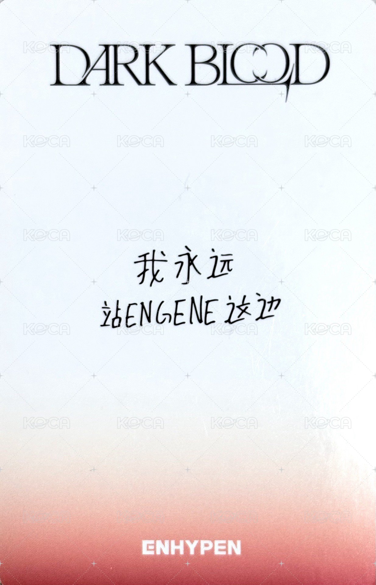 迷四 yzy 2.0 特典卡  背面