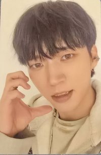 Tree Ring 專輯卡 Tree版 專卡