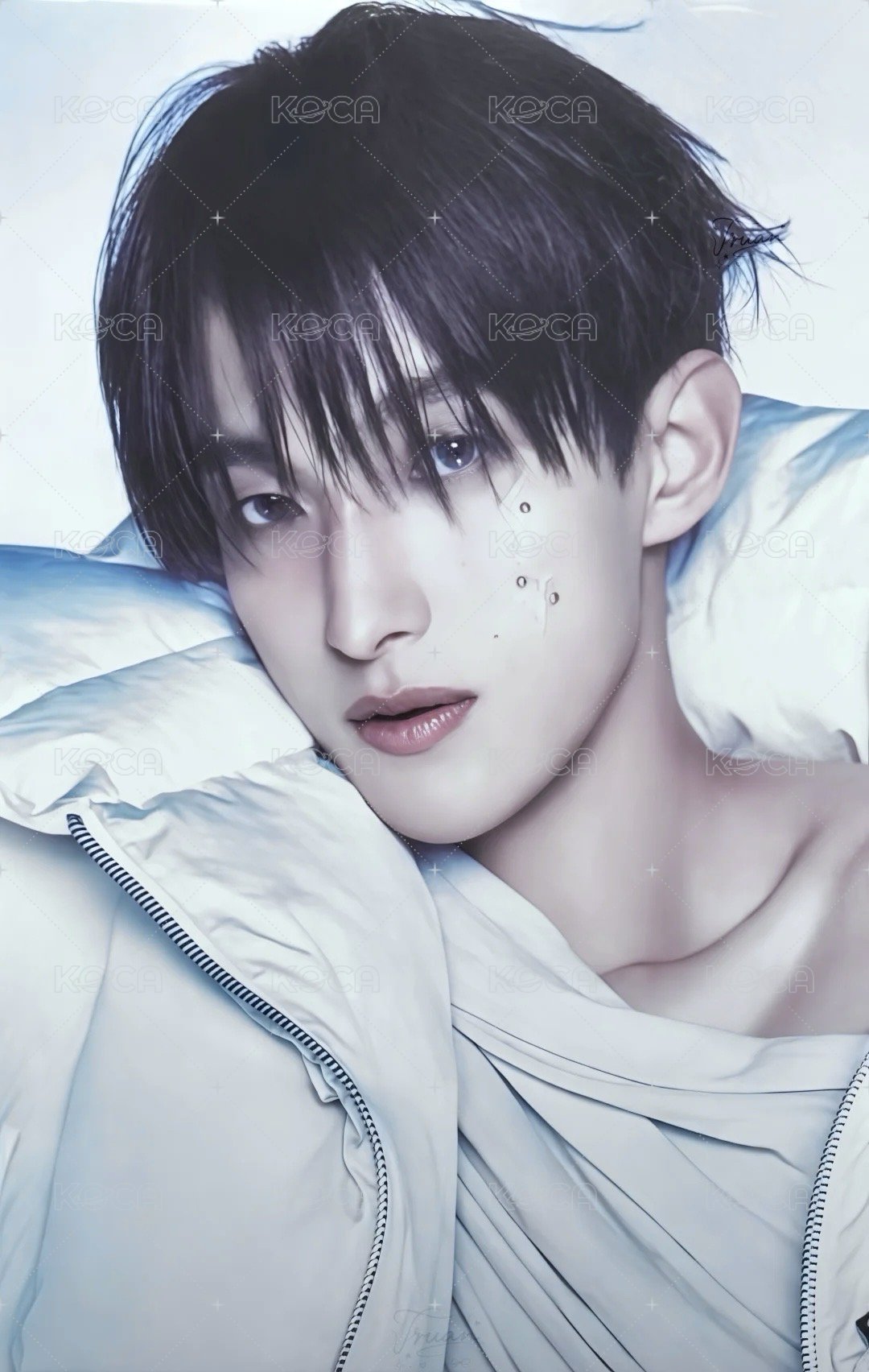 正五 周邊卡 快閃店卡套卡 正面