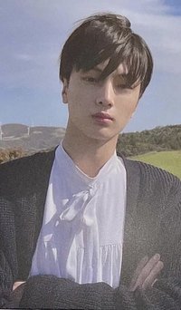 正一後續 環球 抽選卡 草地星