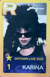 25SMT&30th 入場卡 / 場限卡 首爾場vip柚