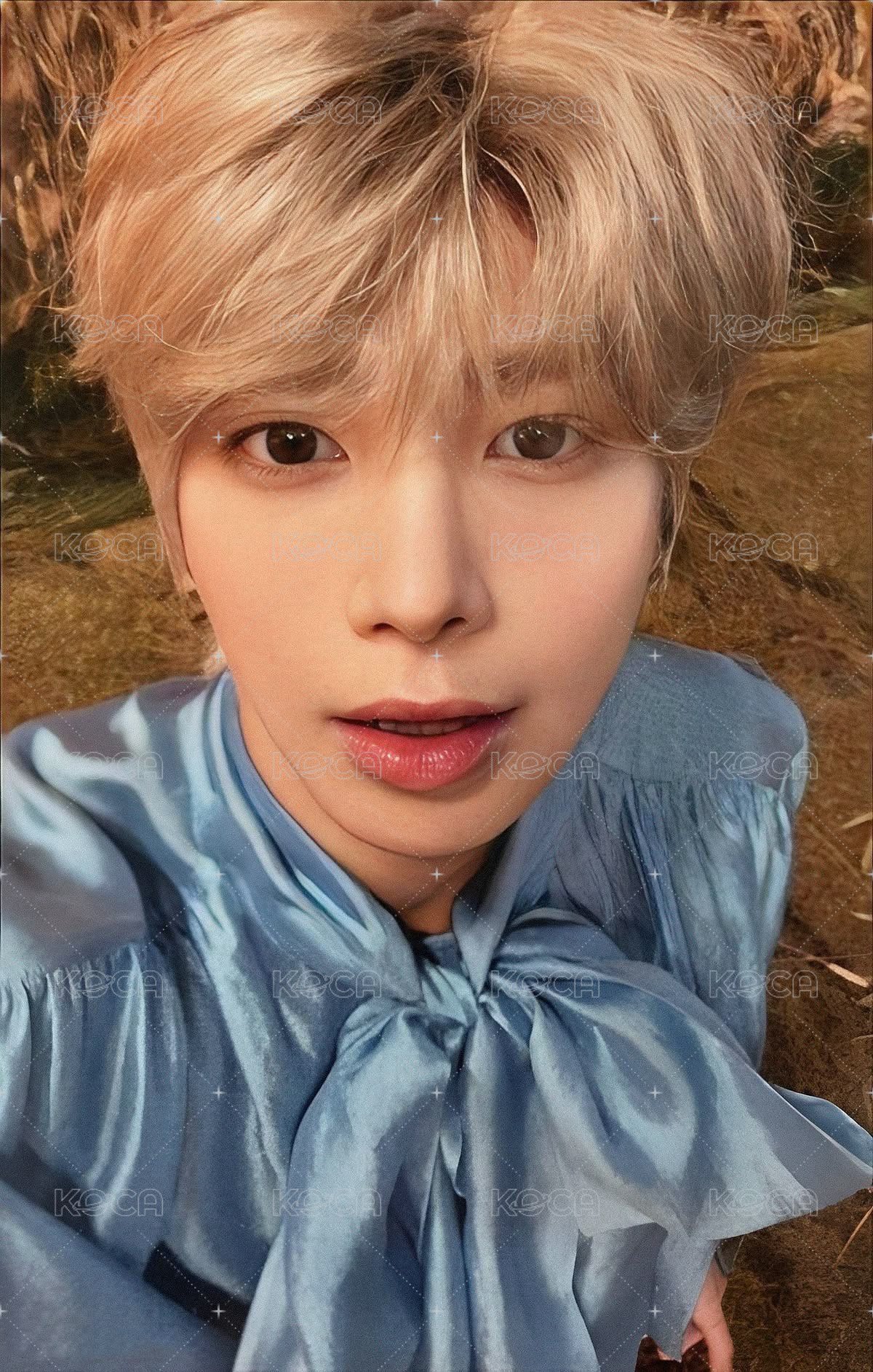 迷六 專輯卡 單封 Light版 正面