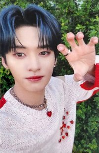 MAXIDENT yes24 特典卡 